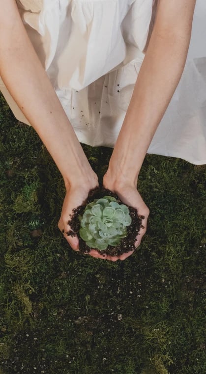 sustainable-earth-greenplant